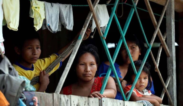 El Celam respalda informe que REPAM entregará a la OEA sobre derechos vulnerados en la Amazonía