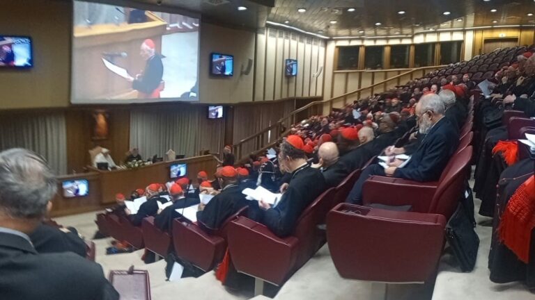 Cardenal Czerny: “Praedicate Evangelium, una experiencia de Iglesia y una esperanza de Iglesia”