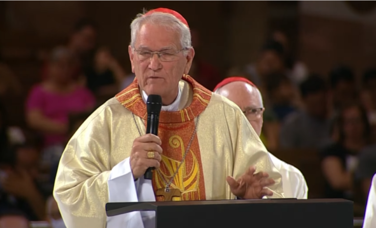 Cardenal Steiner llama a «volver la mirada a la Amazonía, que nos enseña y nos acoge siempre»