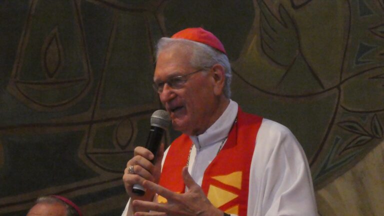Cardenal Steiner: «El Papa Francisco con sus gestos y palabras señala el camino del Evangelio»