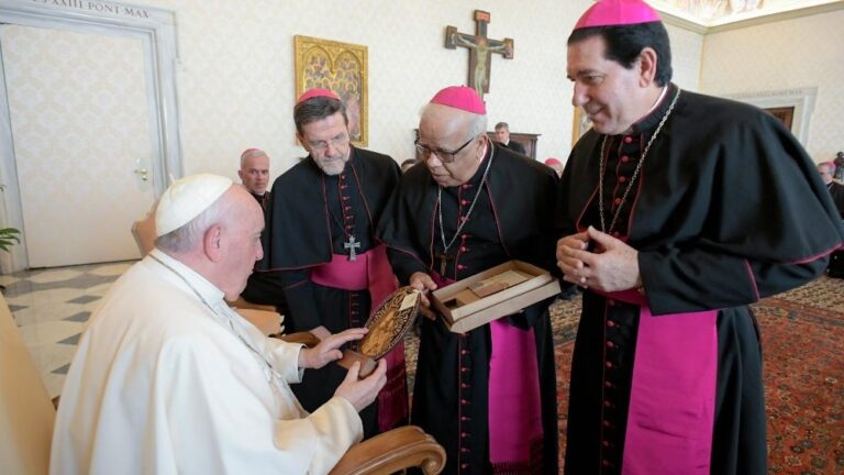 Obispos brasileños agradecen al Papa Francisco su profecía, ser «la gran voz moral que tiene la sociedad global»