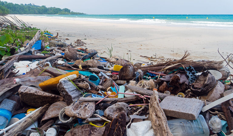 Obispos presentan estudio sobre la “crisis ambiental” de América Latina y el Caribe, inspirados en Laudato Si’