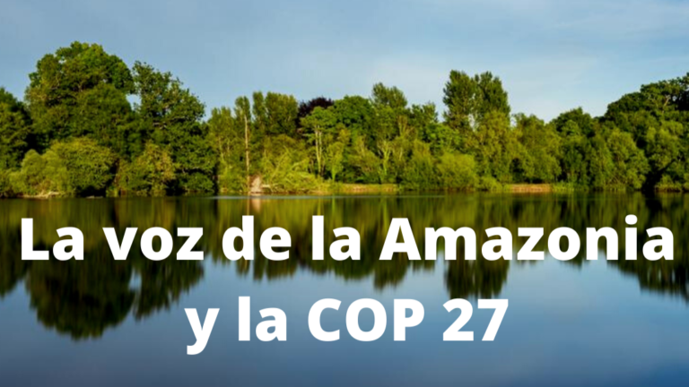 REPAM grita por la Amazonía a la COP27: “Sin Amazonía, no hay vida ni humanidad posible”