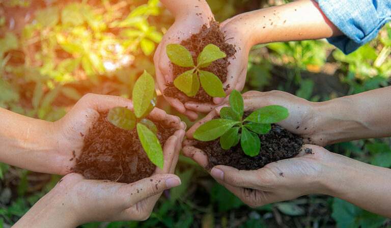 Diccionario CELAM: Educación ambiental