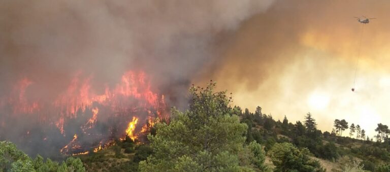 La Iglesia chilena organiza campañas de ayuda a los afectados por los incendios forestales