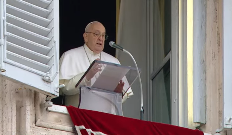 El Papa Francisco invita a “desear el bien los unos a los otros”