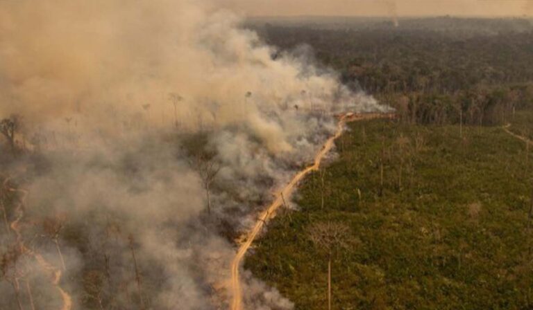 Iglesia amazónica alerta sobre la destrucción de los territorios por sequías e incendios