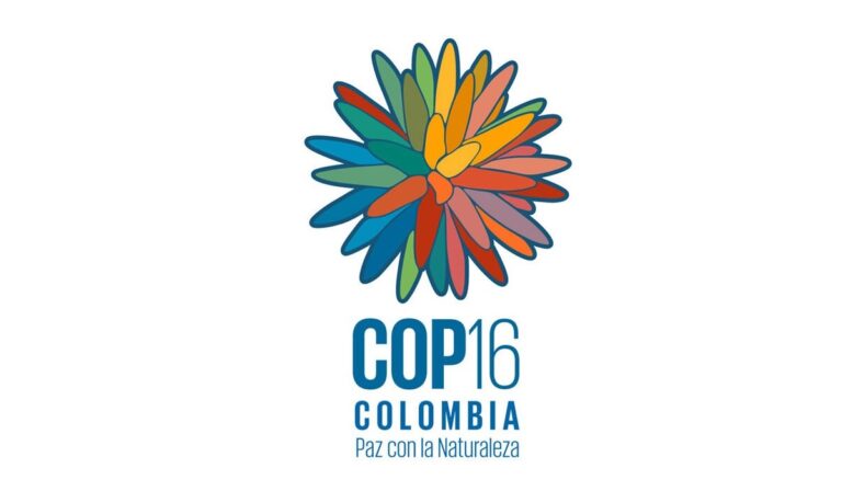 Afonso Murad, rumbo a la COP 16 Colombia: “En la creación, cada ser vivo tiene algo que decir de Dios”