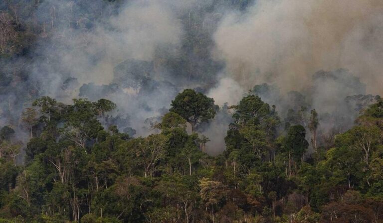 Red Eclesial Gran Chaco y Acuífero Guaraní: “El drama de los incendios nos interpela”