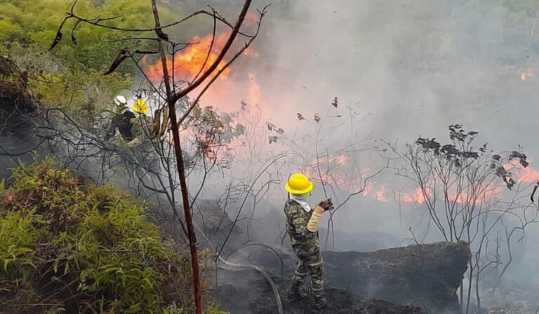 Emergencia ambiental en Colombia por incendios forestales, los Obispos lanzan SOS