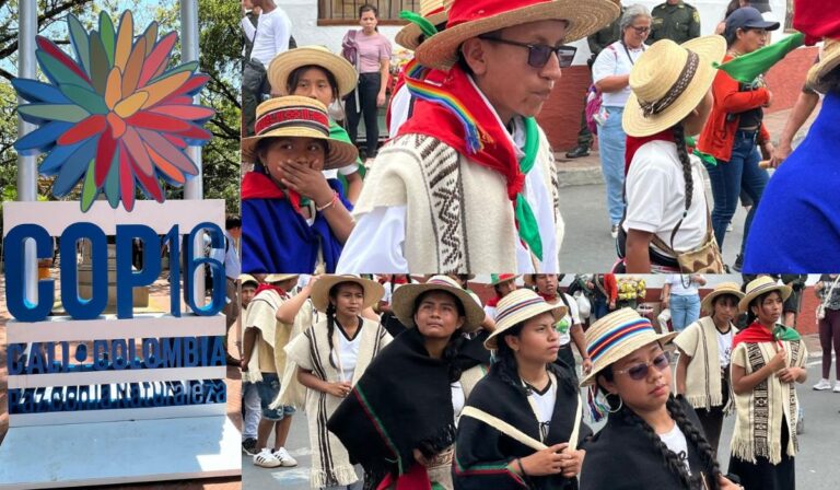 Comisión Pastoral de Pueblos Originarios a los negociadores de la COP 16: “Construir un futuro inclusivo y sostenible con los pueblos indígenas”