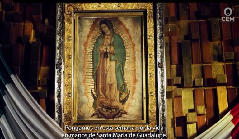 La Iglesia en México celebra la Semana por la Vida
