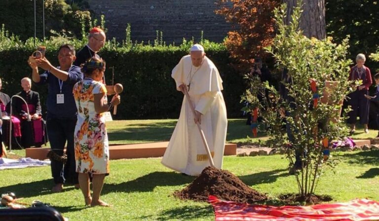 “Un árbol por Francisco”, la Amazonía honra al Papa sembrando vida