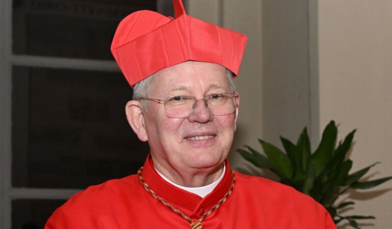 Cardenal Jaime Spengler invita a orar por el futuro Papa