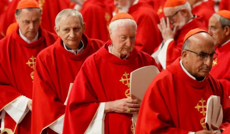 Red Laical Latinoamericana envía un mensaje a los cardenales que elegirán al próximo Papa: “No detengan el camino”