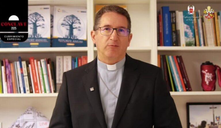 Comisión Pontificia Protección de Menores: pide un Papa comprometido con la verdad, la justicia y las víctimas