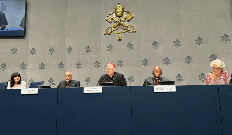 Iglesias del ‘sur global’ presentan al Papa León XIV documento sobre justicia climática: “Pedimos al mundo una conversión del corazón”