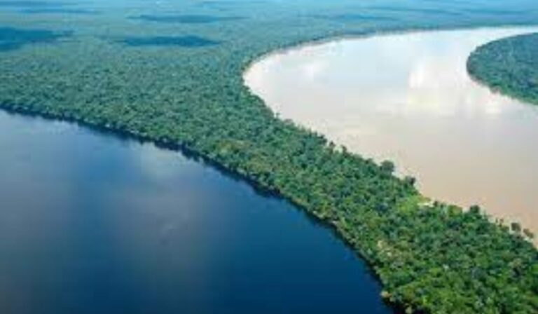 Curso virtual “Agua y Vida en la Panamazonía” culmina con testimonio de resistencia, derechos y esperanza desde los territorios