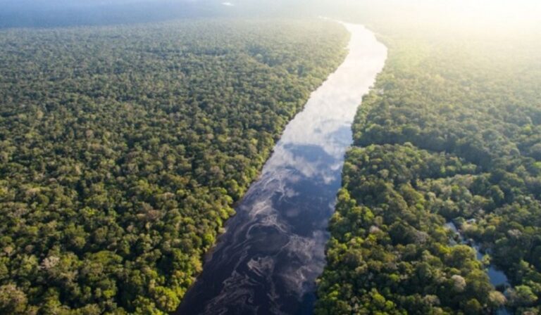 Iglesia en Brasil rechaza el proyecto de licencias ambientales: “Cuidar nuestra casa común es nuestra causa común”