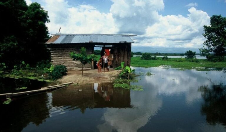 Día Internacional de los Pueblos Indígenas: la Amazonía celebra a sus guardianes de la vida y la esperanza