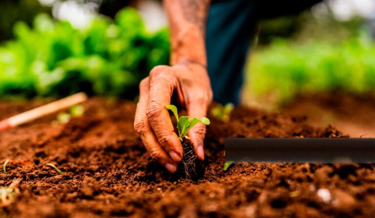 Foto: Iglesia en Aragón