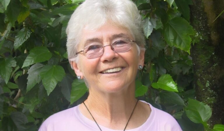 Papa León XIV exalta el testimonio de fe de Dorothy Stang y mártires contemporáneos