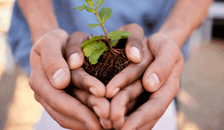 Esta es la Oración por los defensores de la Casa común