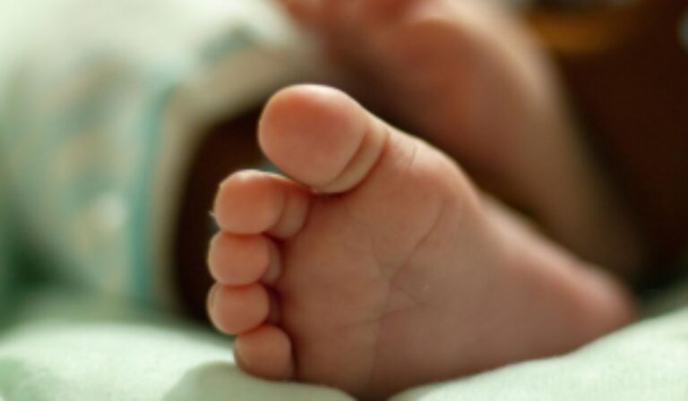 Iglesia en Brasil se manifiesta en defensa de la vida y la dignidad humana ante recientes decisiones judiciales