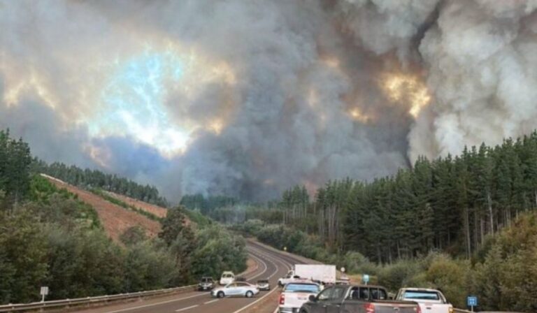 La Iglesia en Chile articula ayuda humanitaria y llama a la solidaridad ante los incendios en Biobío y Ñuble