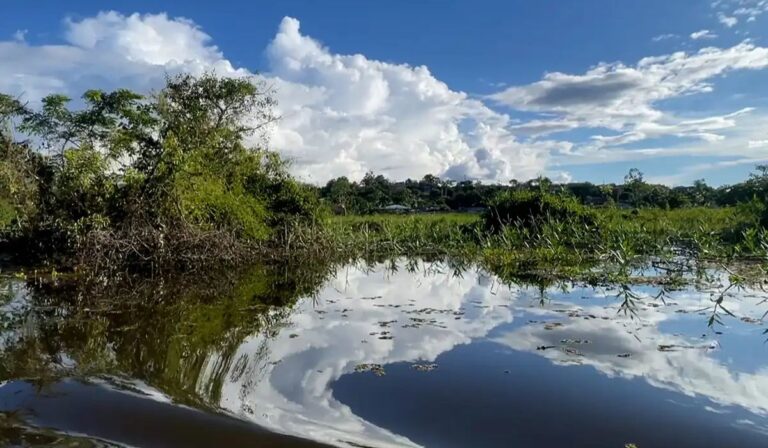“Los seres que no se ven”: una invitación a repensar la comunicación desde la Amazonía y más allá del antropocentrismo