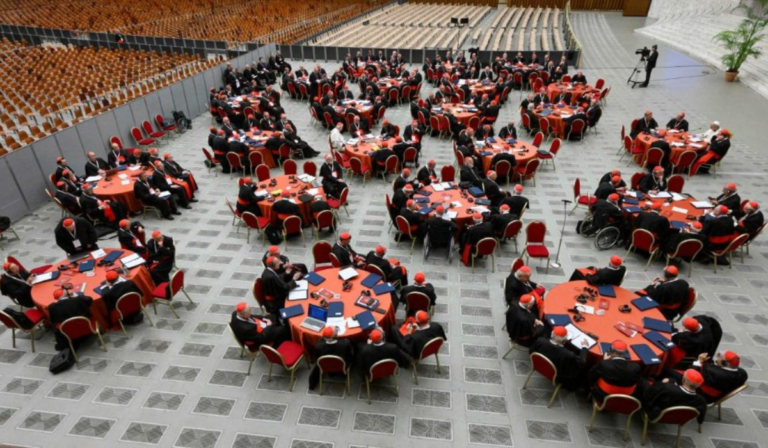 Sínodo, sinodalidad y evangelización a la luz de Evangelii gaudium fueron los temas abordados «por votación» en el primer Consistorio de León XIV