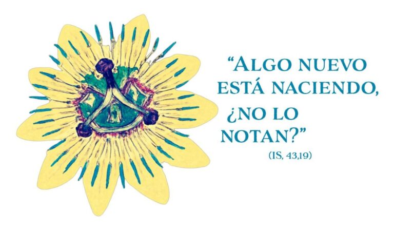 La Amazonía que florece: la Pasiflora inspira el logotipo de la VI Asamblea General de la Conferencia Eclesial de la Amazonía