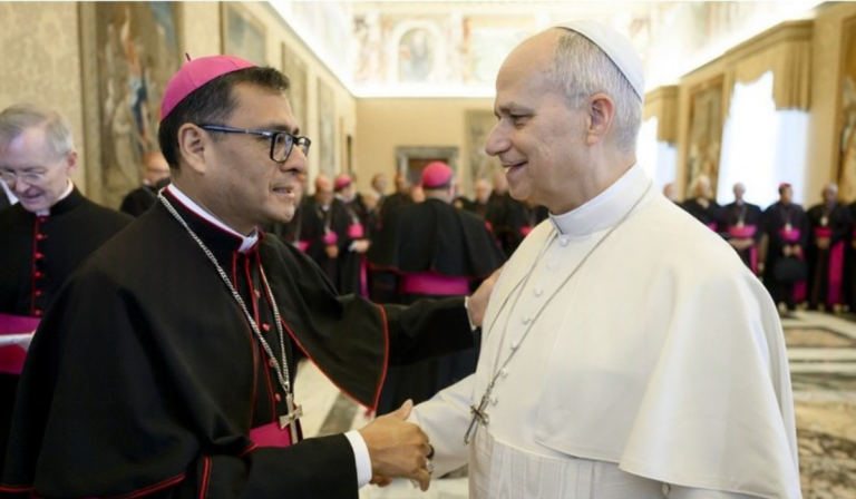 “Empapado” con su pueblo: Mons. Edinson Fárfan revela la cercanía del Papa León XIV durante la Jornada Mundial del Enfermo