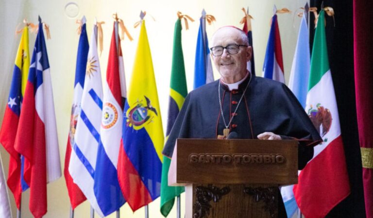 Cardenal Czerny en la Jornada Mundial del Enfermo: «Podemos ayudar creando puentes sin imponer una visión»