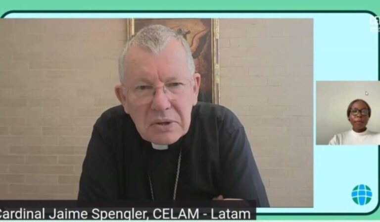 Cardenal Jaime Spengler impulsa llamado eclesial por la justicia climática y la transición energética justa