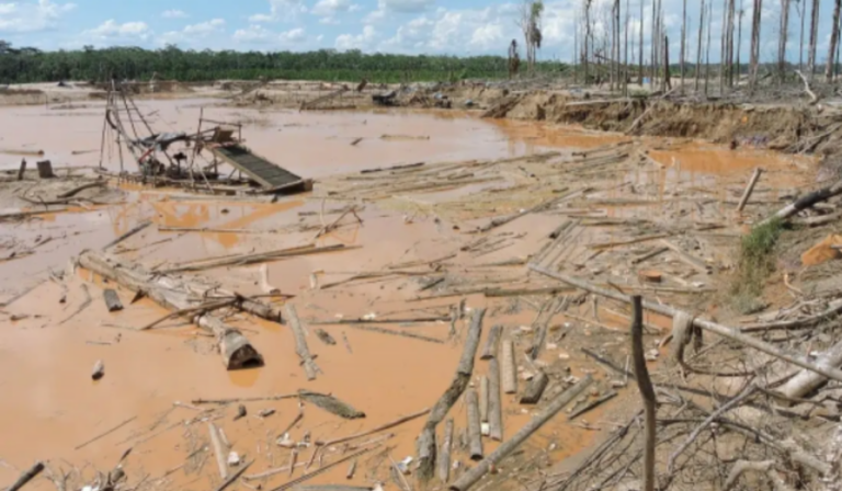 Nancy Fuentes: “La Madre Tierra está siendo saqueada completamente por la ambición de unos pocos”