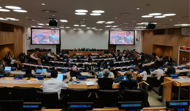 Redes territoriales posicionan en la ONU la defensa de los derechos indígenas y sus territorios
