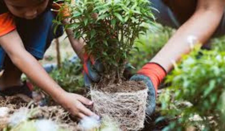 Día Internacional de la Madre Tierra: Remam impulsa conversión ecológica ante crisis ambiental