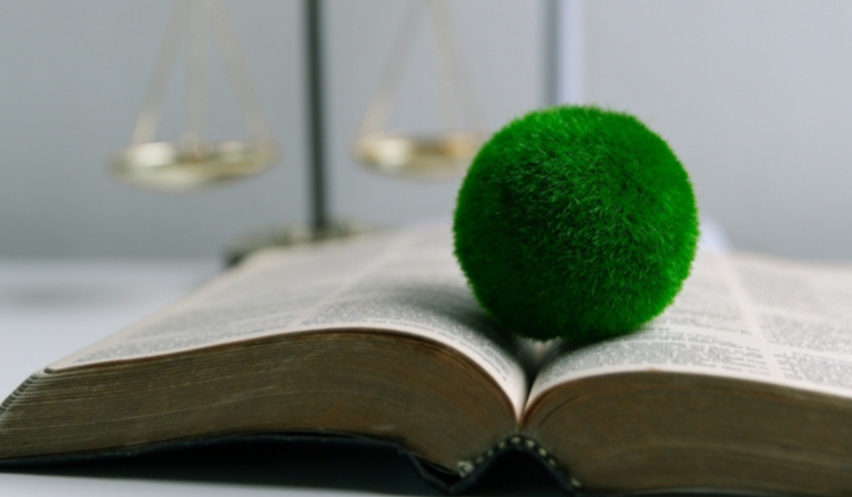 Arranca la Conferencia de Santa Marta con Encuentro de espiritualidades por una transición más allá de los combustibles fósiles