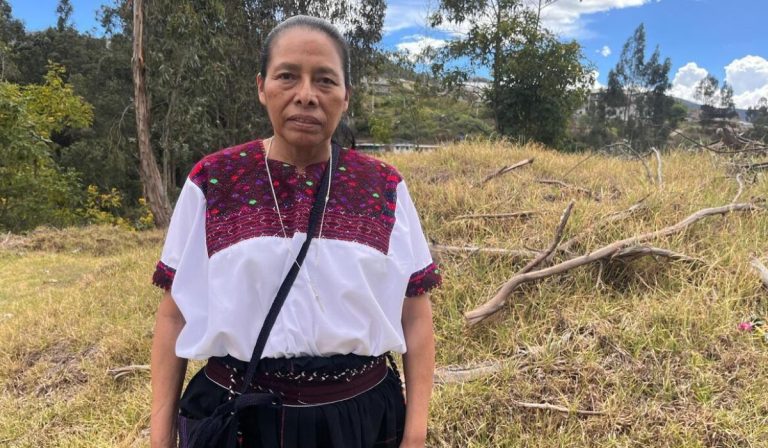 Manuela Hernández y el testimonio de una Iglesia autóctona que florece en Chiapas