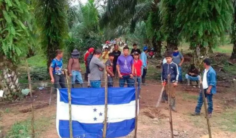 Foto: Prensa Latina