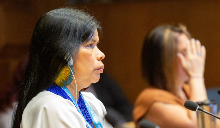 Patricia Gualinga: “Los pueblos indígenas necesitan espacios donde sus voces sean escuchadas”