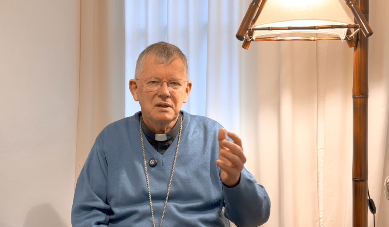 Un año con el Papa León XIV, un camino de paz y misión 🕊️